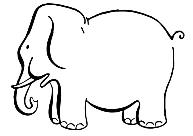 Disegno da colorare elefante