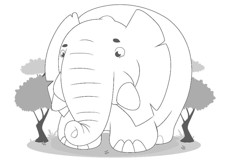 Disegno da colorare elefante