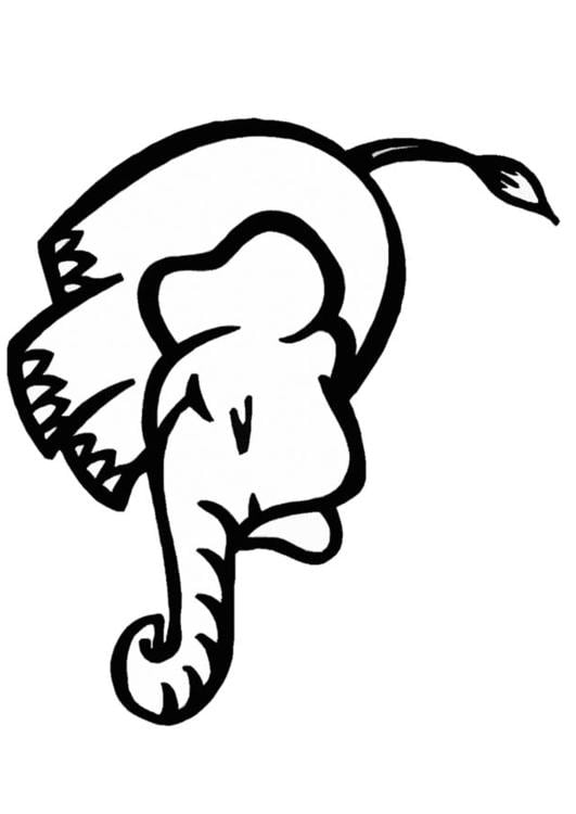 elefante