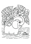 Disegni da colorare elefante