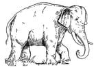 Disegno da colorare elefante