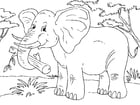 Disegni da colorare elefante