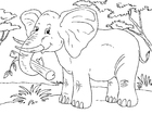 Disegni da colorare elefante