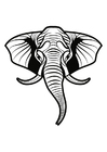 Disegni da colorare elefante