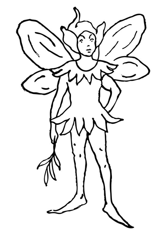 Disegno da colorare elfo