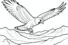 falco