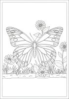 farfalla nel giardino