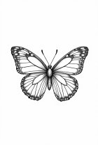 farfalla