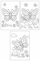farfalle nel giardino