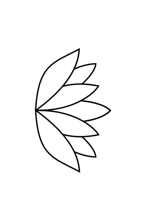 fior di loto