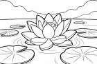 fiore di loto