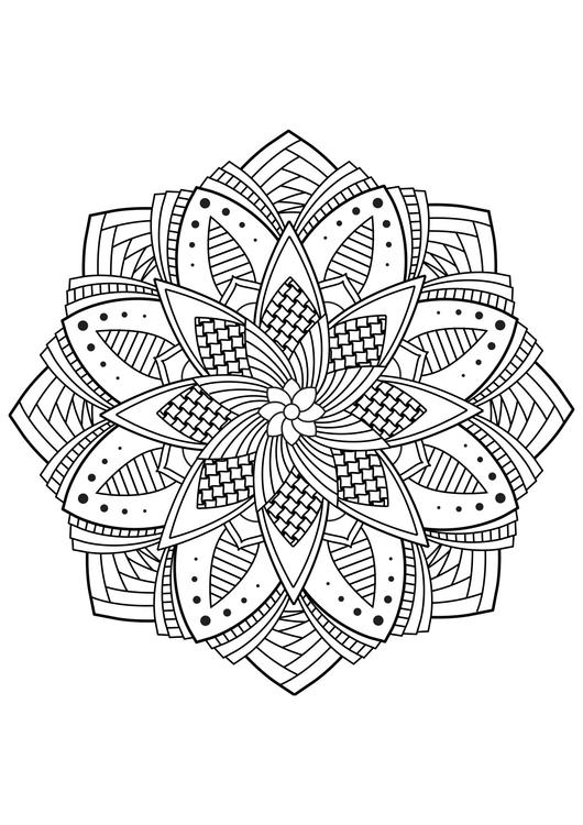 fiore di mandala