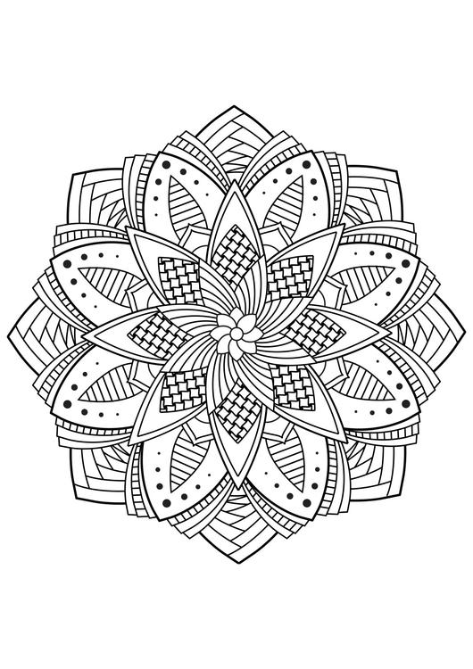 fiore di mandala