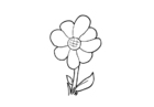 disegno-da-colorare fiore