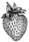 fragole