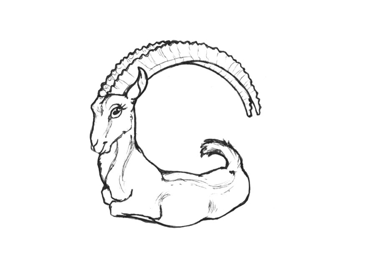 Disegno da colorare g-goat