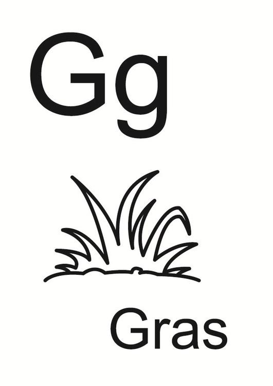 g