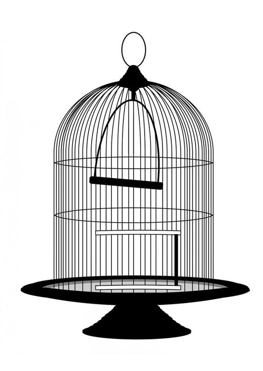 gabbia per uccelli