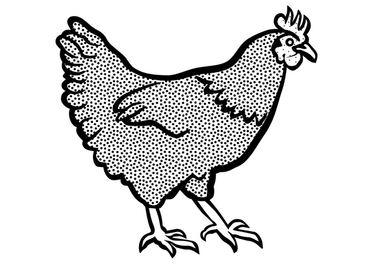Disegno da colorare gallina