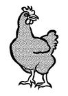 Disegni da colorare gallina