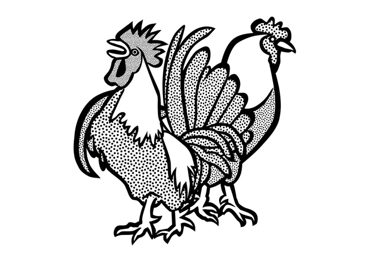 Disegno da colorare gallo e gallina