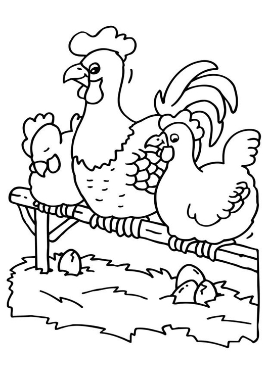 Disegno da colorare gallo e galline