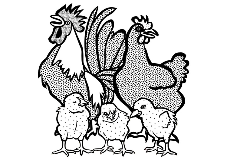 Disegno da colorare gallo, gallina e pulcini