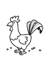 disegno-da-colorare gallo