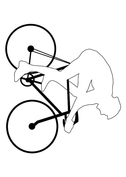 gara ciclistica