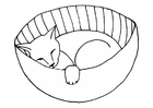 Disegno da colorare gattino che dorme