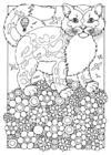 disegno-da-colorare gatto