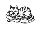 disegno-da-colorare gatto
