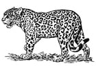Disegno da colorare giaguaro