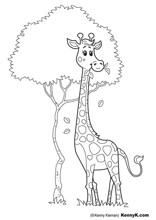 Disegno da colorare giraffa