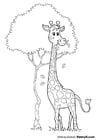 Disegno da colorare giraffa