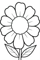 grande fiore