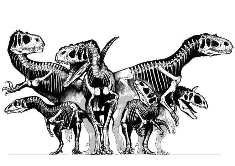 Disegno da colorare gruppo di dinosauri - scheletri
