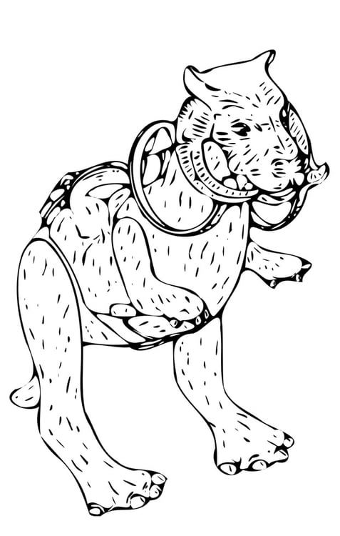 Disegno da colorare Guerre Stellari - Taun Taun
