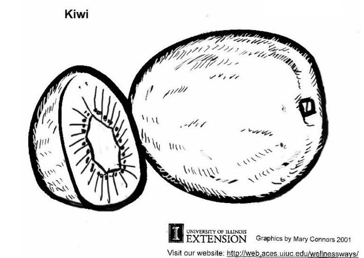 Disegno da colorare kiwi