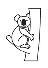 Disegno da colorare koala