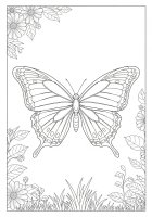 la farfalla vola nel giardino