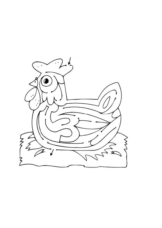 Disegno da colorare labirinto - gallina