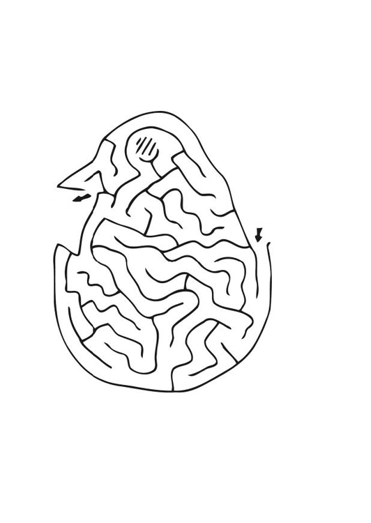 Disegno da colorare labirinto - pulcino