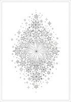 le stelle brillano