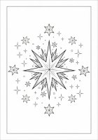 Le stelle di Natale brillano
