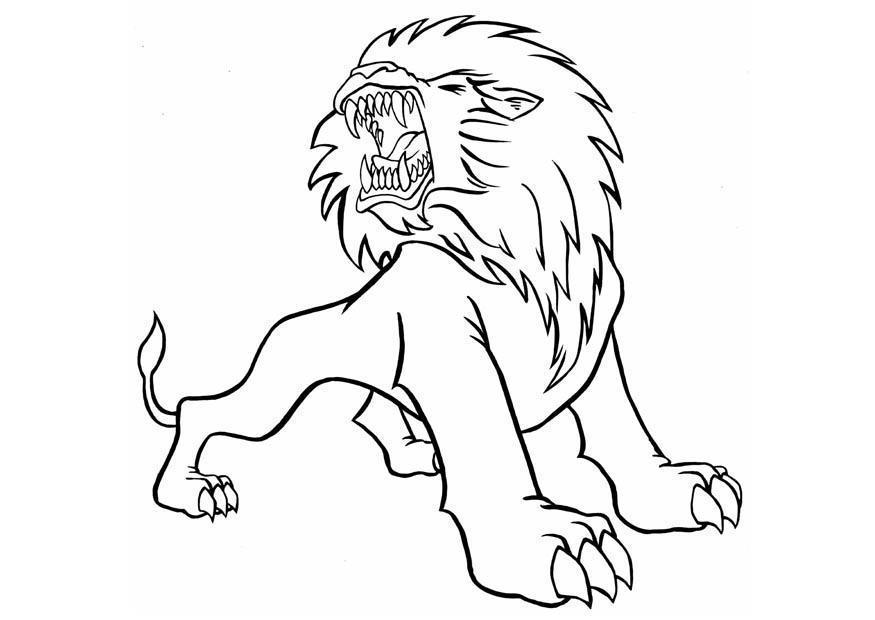 Disegno da colorare leone arrabbiato