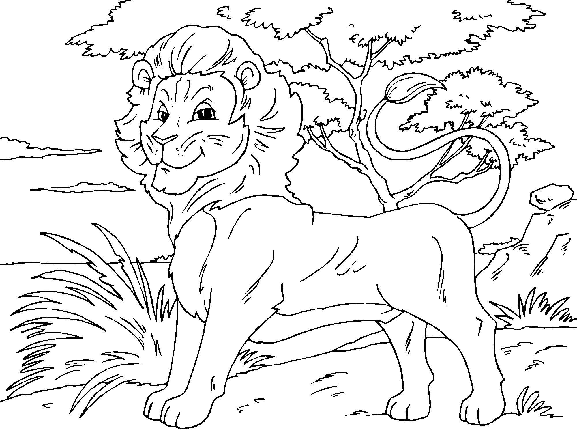 Disegno da colorare leone