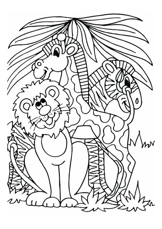 leone, giraffa e zebra