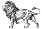 Disegno da colorare leone