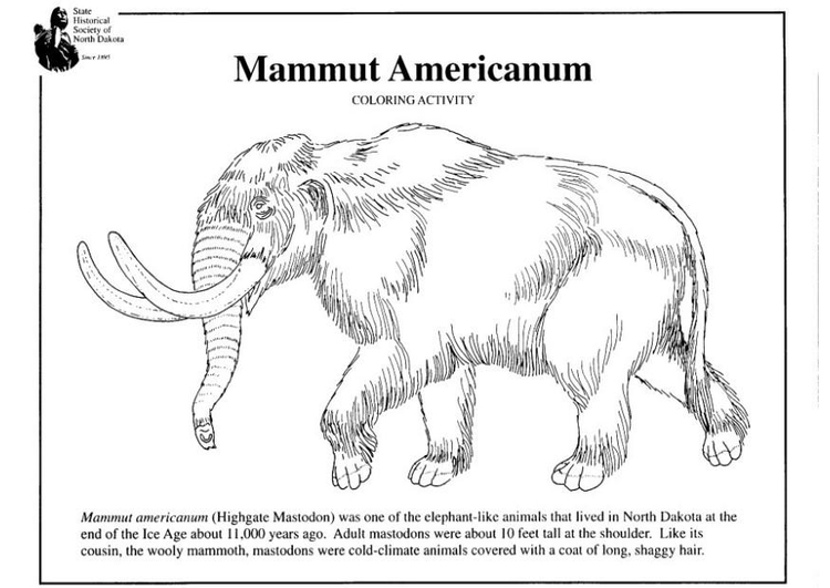 Disegno da colorare mammut americano